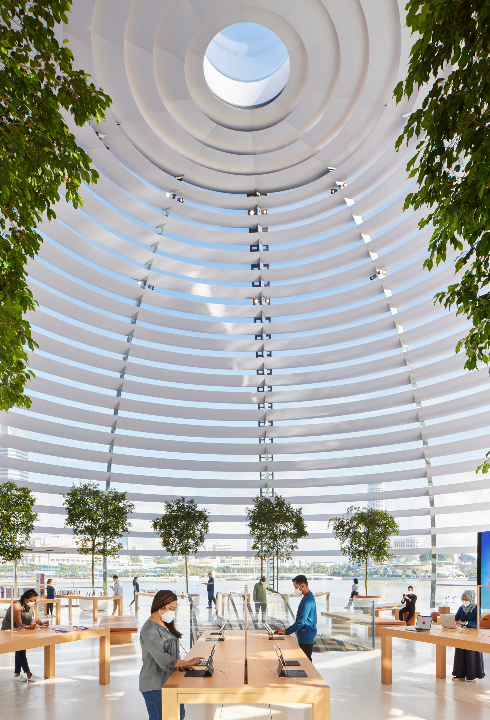 Apple Retail Store - Festival Place Apple retail store, Apple store, Mobile shop design