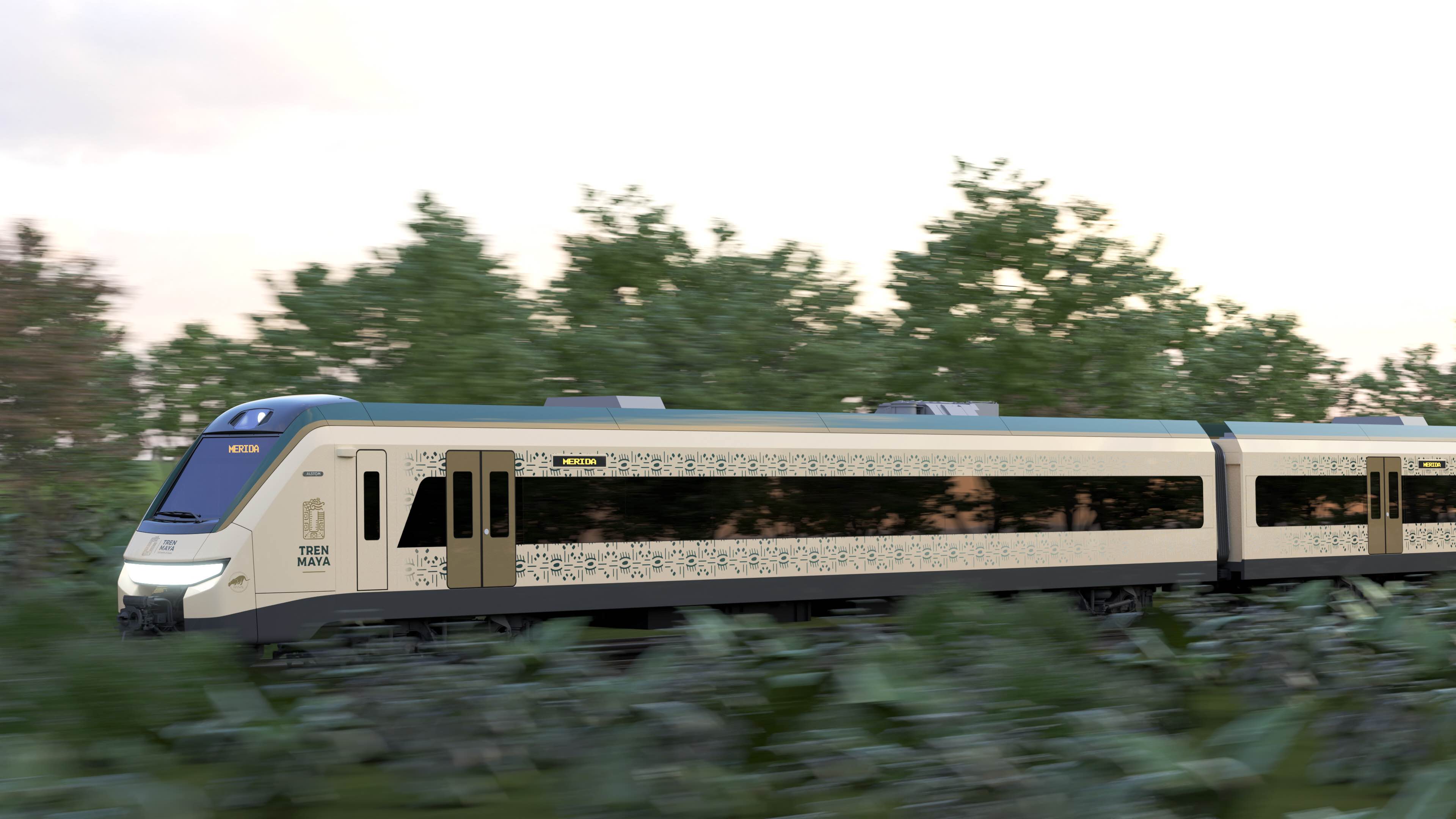 Trenes / trains